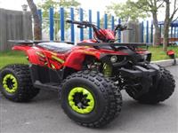 Барабан С Мотором Tao Автоматический 125cc Дисковый Квадроцикл Atv Для Детей Электрический Запуск Utv Цепной Привод Atv 125 2wd