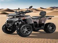 Двигатель Tao 2025 Новый Автоматический Квадроцикл Cuatrymoto 4-тактный Двигатель 4x2 Гоночный Сельскохозяйственный Грузовик Raptor Atv 250cc