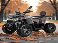 Tao Мотор 2025 Новый Автоматический Грузовик Raptor Квадроцикл 4-тактный Двигатель 4x4 Atv 250cc Для Взрослых
