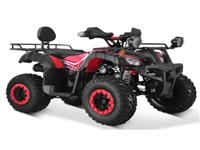 Мотор Tao,Автоматический Цепной Привод,Внедорожная Ферма,Cuatrmoto,2 Места,Atv 150cc