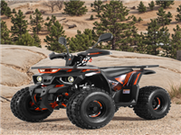 Двигатель Tao 2025,Новый Квадроцикл Cuatrymoto,Автоматический Цепной Привод,Бензиновый 4-тактный Двигатель Для Взрослых,Большой Бензиновый Atv 125cc