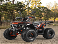 Новый Двигатель Tao 2025,Детский Квадроцикл Для Квадроцикла Efi,Cuatrmotos,Автоматический Цепной Привод Atv 125cc