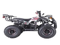 Новинка на рынке вездеходов для всех типов местности