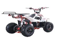 Новый 4-х Колесный Велосипед Tao,2025 С Реверсом 110cc,Квадроцикл Для Детей